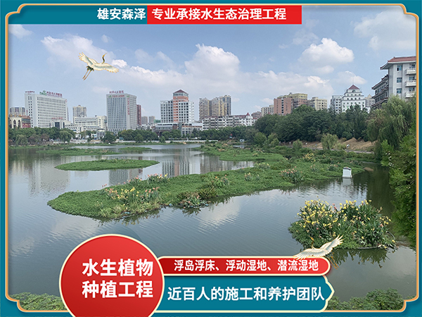 护城河浮岛浮床工程案例