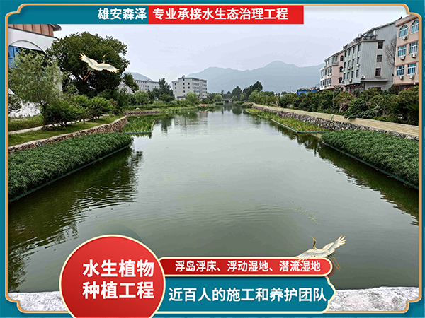 挺水植物浮岛河道工程