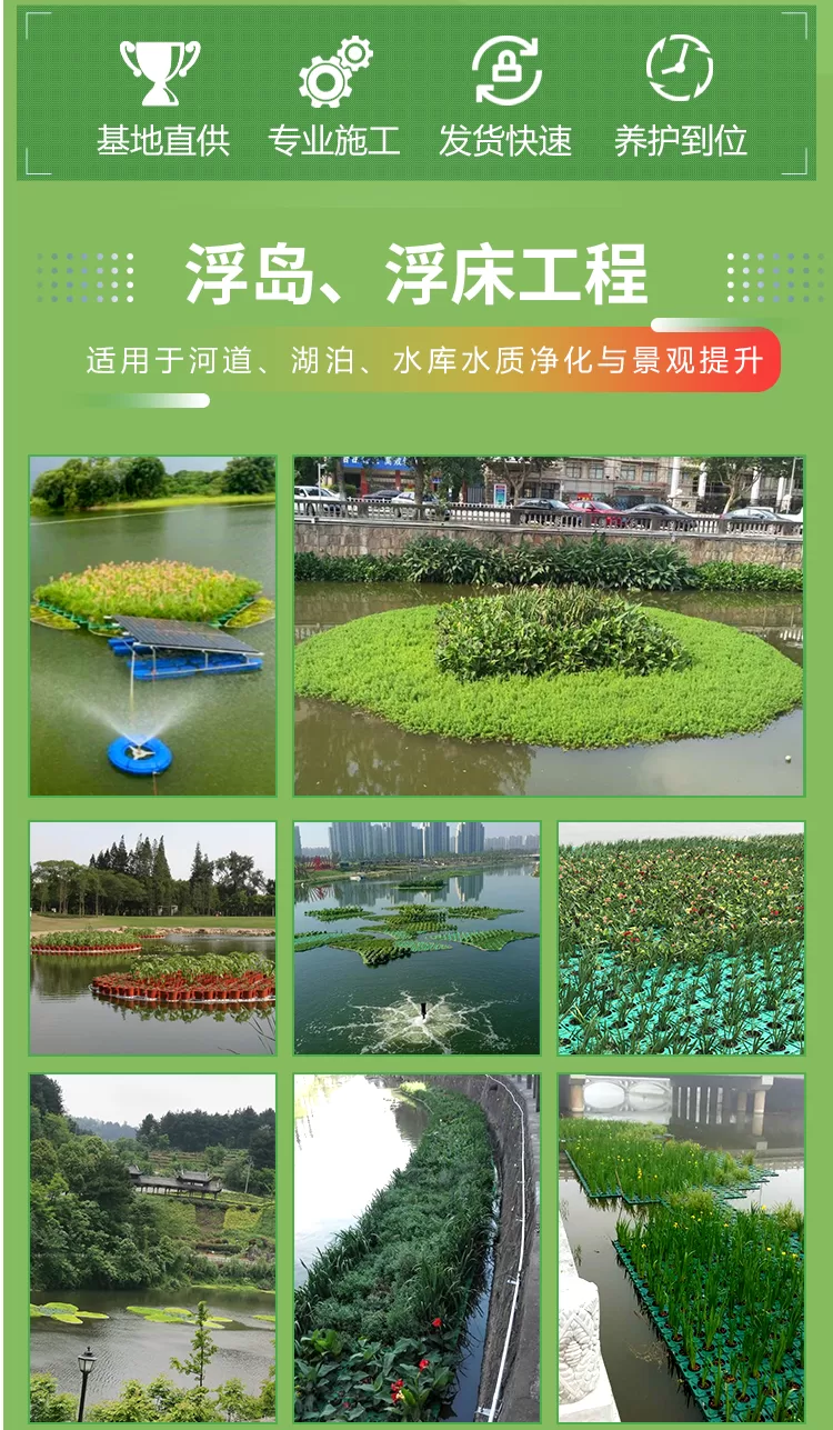 浮岛浮床+浮动湿地+潜流湿地+挺水植物+浮水植物相关插入详情图_02.png