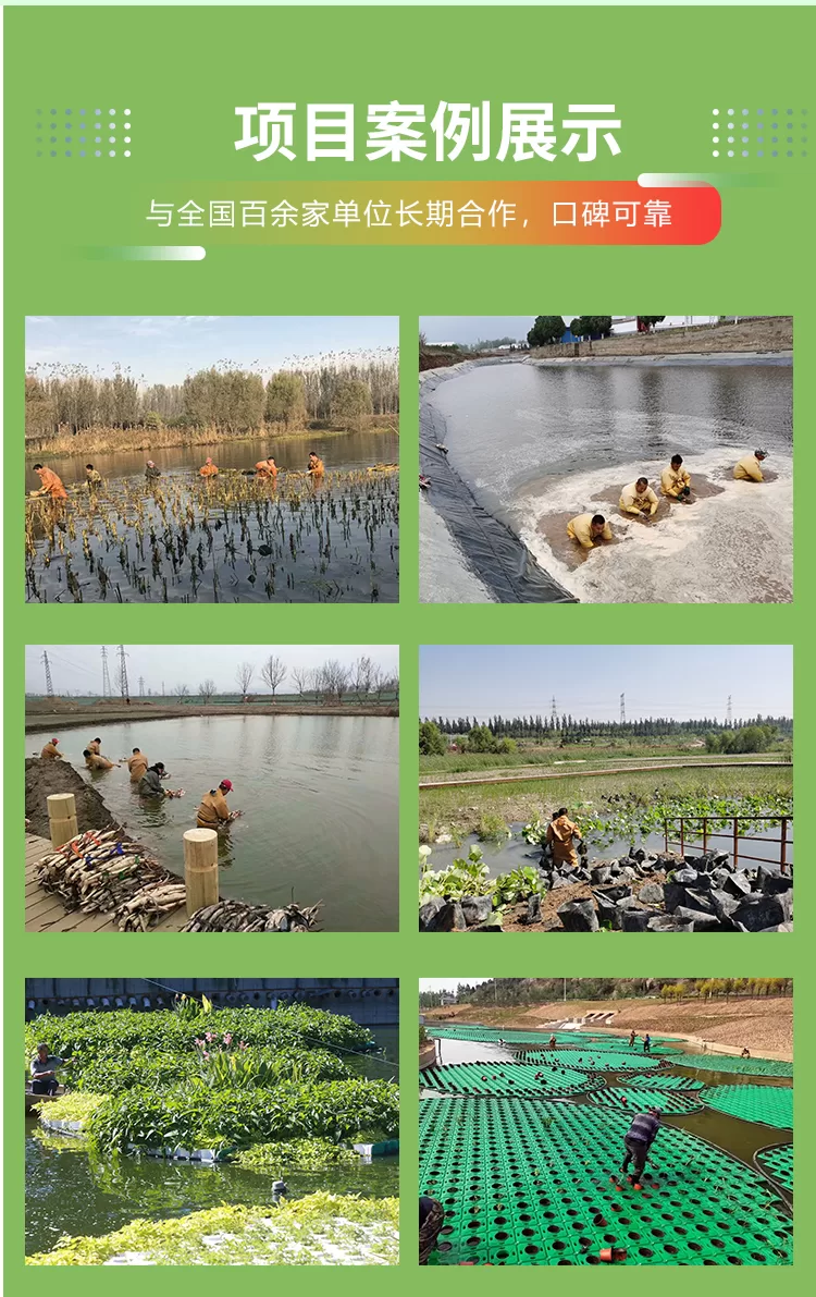浮岛浮床+浮动湿地+潜流湿地+挺水植物+浮水植物相关插入详情图_07.png