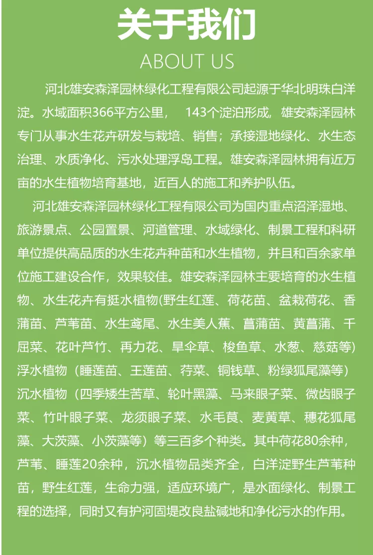 浮岛浮床+浮动湿地+潜流湿地+挺水植物+浮水植物相关插入详情图_09.png